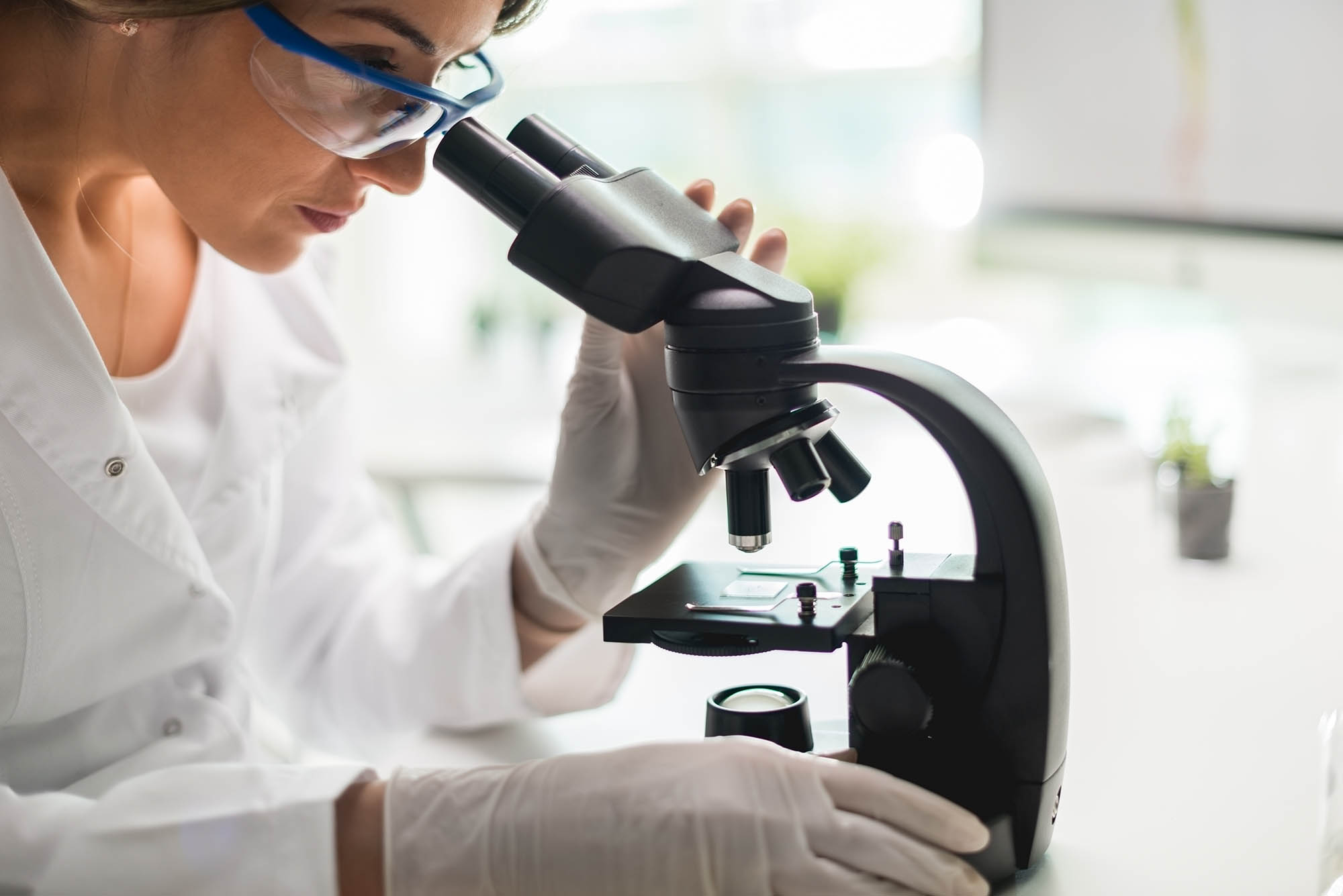 Air quality inspector analyzing sample from indoor air quality test using microscope in lab
