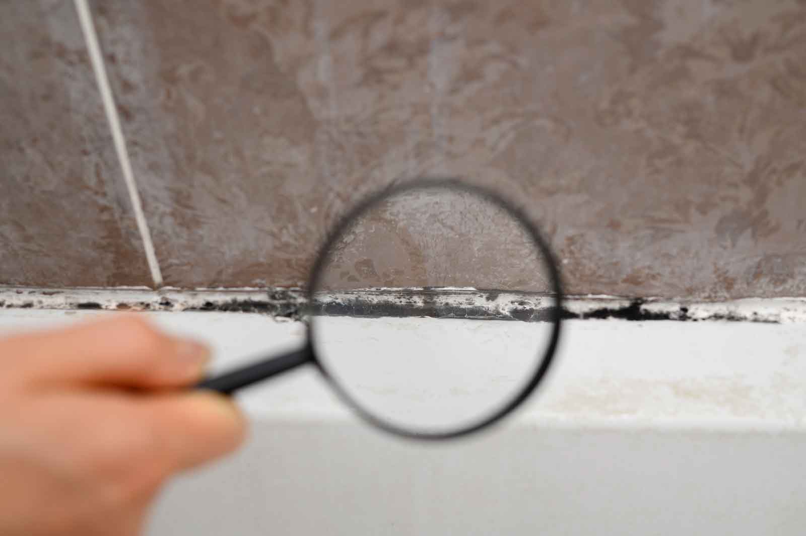 Magnifying glass held up to inspect mold on edge of bathtub